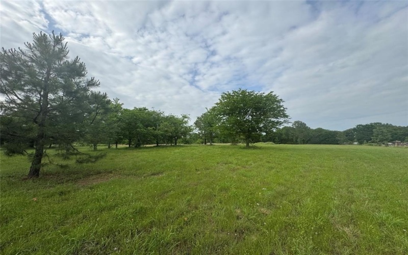 Tbd VZ CR 1215, Canton, TX 75103, ,Residential,For Sale,Tbd VZ CR 1215,20780826