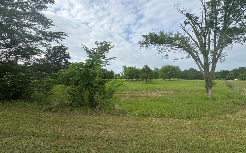Tbd VZ CR 1215, Canton, TX 75103, ,Residential,For Sale,Tbd VZ CR 1215,20780826