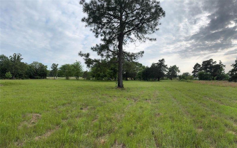Tbd VZ CR 1215, Canton, TX 75103, ,Residential,For Sale,Tbd VZ CR 1215,20780826