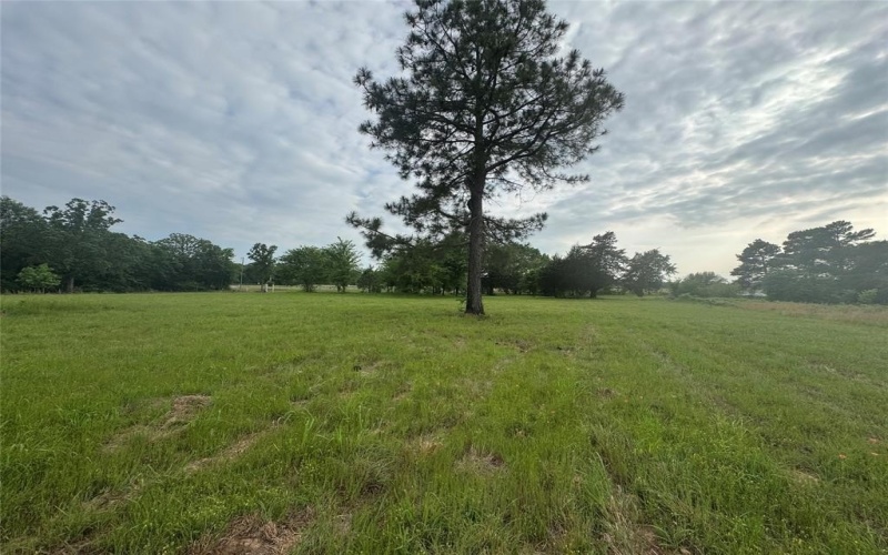 Tbd VZ CR 1215, Canton, TX 75103, ,Residential,For Sale,Tbd VZ CR 1215,20780826