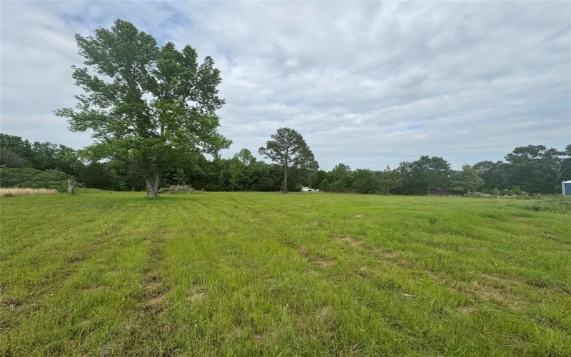 Tbd VZ CR 1215, Canton, TX 75103, ,Residential,For Sale,Tbd VZ CR 1215,20780826