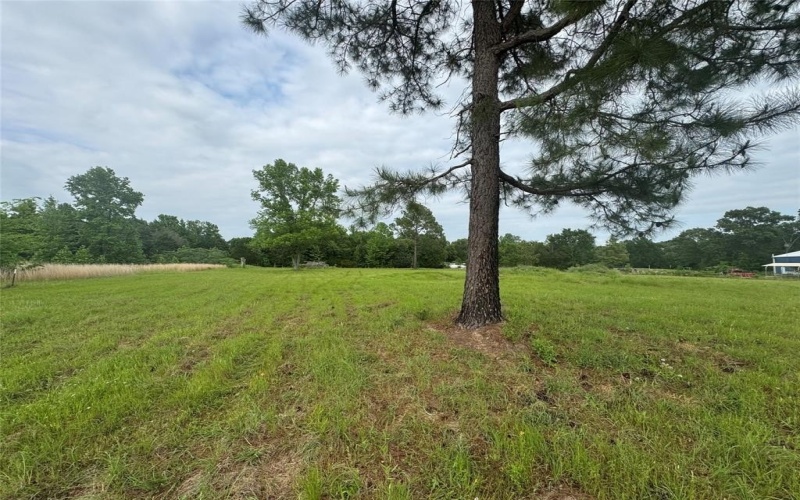 Tbd VZ CR 1215, Canton, TX 75103, ,Residential,For Sale,Tbd VZ CR 1215,20780826
