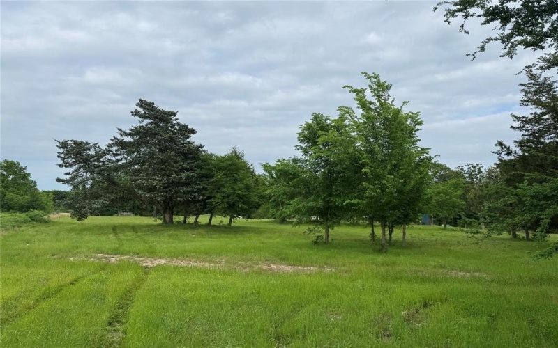 Tbd VZ CR 1215, Canton, TX 75103, ,Residential,For Sale,Tbd VZ CR 1215,20780826