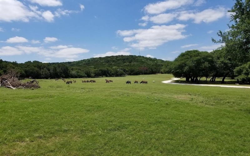 1584 Hidden Oaks Trail Trail, Glen Rose, TX 76690, 3 Bedrooms Bedrooms, ,2 BathroomsBathrooms,Residential,For Sale,1584 Hidden Oaks Trail Trail,20791950