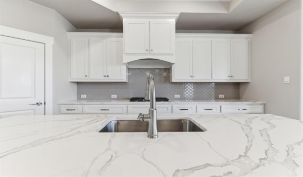 1913 Cascada Way, Little Elm, TX 75068, 2 Bedrooms Bedrooms, ,2 BathroomsBathrooms,Residential,For Sale,1913 Cascada Way,20796461