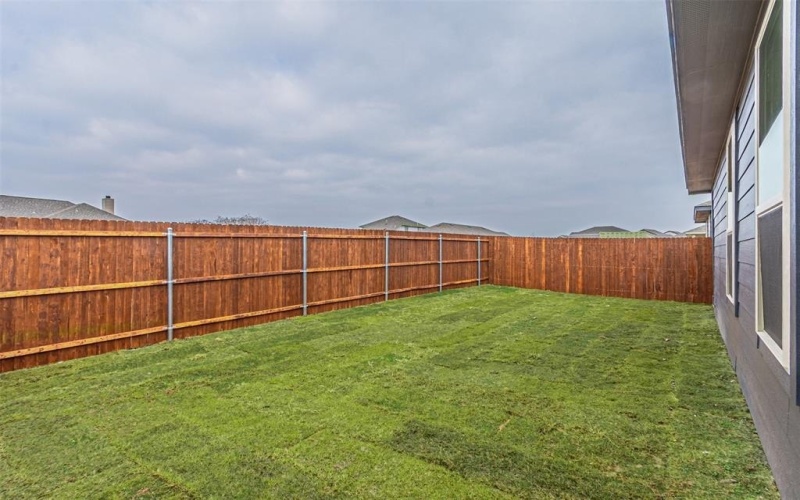 3214 Sedge Grass Drive, Melissa, TX 75454, 4 Bedrooms Bedrooms, ,3 BathroomsBathrooms,Residential Lease,For Rent,3214 Sedge Grass Drive,20807848