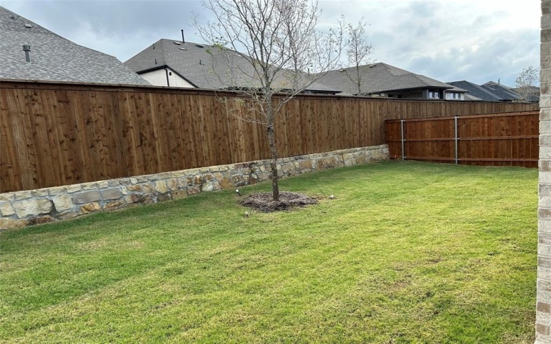 2325 Plumeria Lane, Celina, TX 75009, 4 Bedrooms Bedrooms, ,3 BathroomsBathrooms,Residential Lease,For Rent,2325 Plumeria Lane,20804920