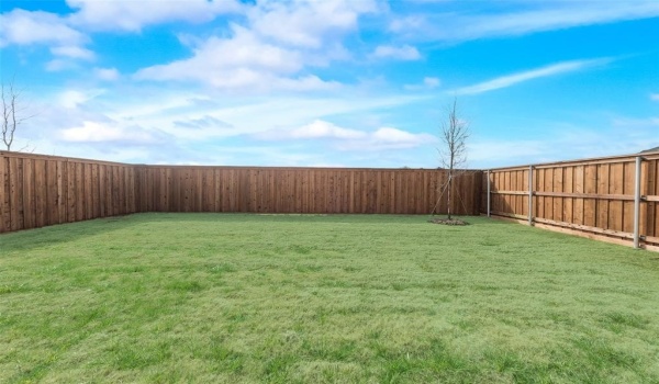 153 Adelina Drive, Little Elm, TX 75068, 3 Bedrooms Bedrooms, ,2 BathroomsBathrooms,Residential,For Sale,153 Adelina Drive,20816188