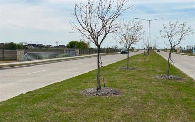 3902 Monticello drive Drive, Farmersville, TX 75442, 4 Habitaciones Habitaciones , ,2 BañosBaños,Residential Lease,En Alquiler,3902 Monticello drive Drive,20812743