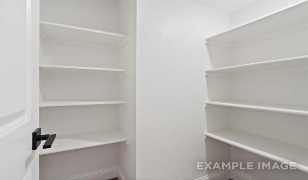 3014 Patrick Street, Wylie, TX 75098, 3 Bedrooms Bedrooms, ,2 BathroomsBathrooms,Residential,For Sale,3014 Patrick Street,20813548