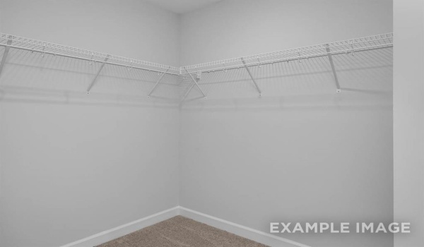 3104 Patrick Street, Wylie, TX 75098, 3 Bedrooms Bedrooms, ,2 BathroomsBathrooms,Residential,For Sale,3104 Patrick Street,20813783