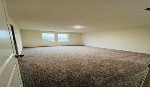 2007 Burnwood, Melissa, TX 75454, 5 Bedrooms Bedrooms, ,5 BathroomsBathrooms,Residential Lease,For Rent,2007 Burnwood,20820552