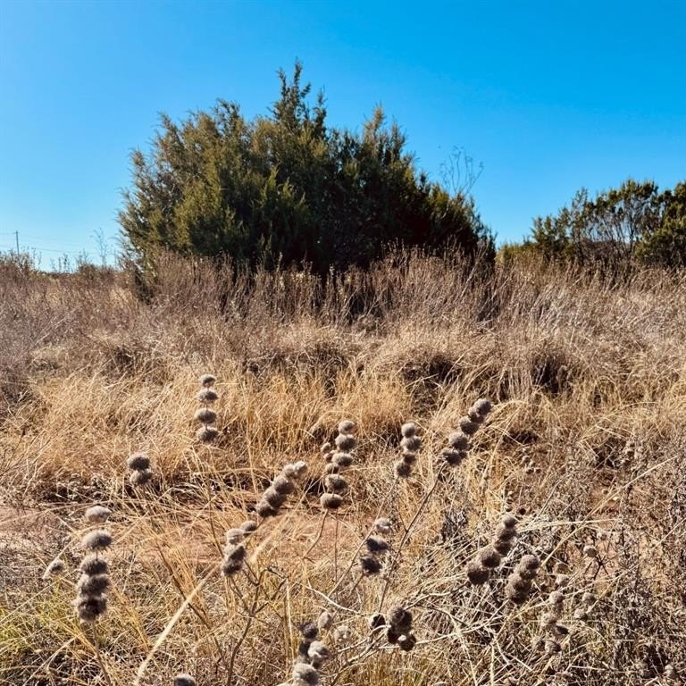 1093 Preston Valley Trail, Glen Rose, TX 76043, ,Land,For Sale,1093 Preston Valley Trail,20823237
