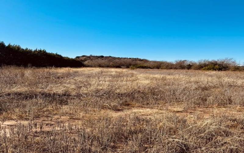 1093 Preston Valley Trail, Glen Rose, TX 76043, ,Land,For Sale,1093 Preston Valley Trail,20823237