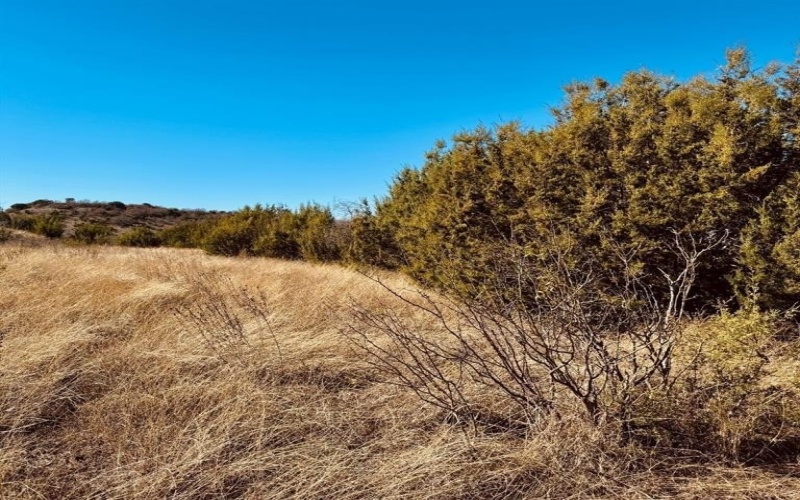 1093 Preston Valley Trail, Glen Rose, TX 76043, ,Land,For Sale,1093 Preston Valley Trail,20823237