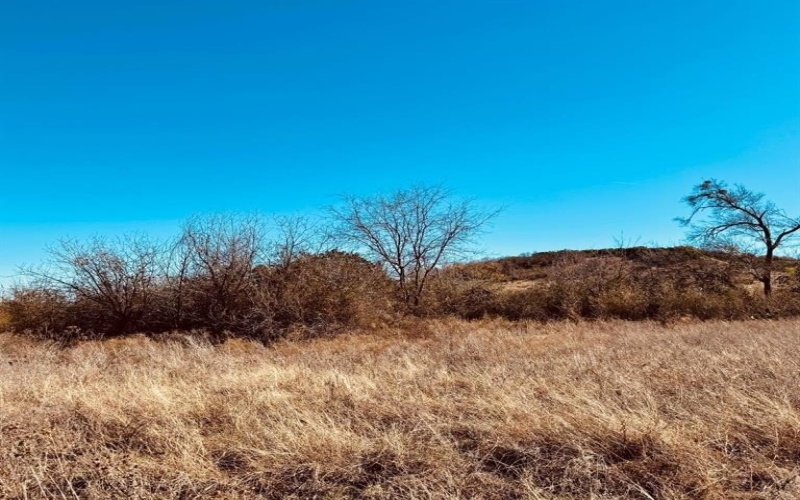 1947 Hidden Valley Road, Glen Rose, TX 76043, ,Land,For Sale,1947 Hidden Valley Road,20823397