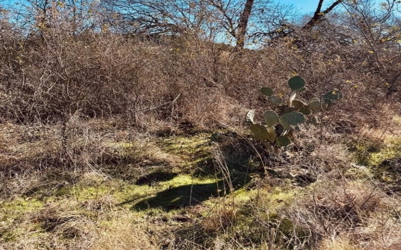 1947 Hidden Valley Road, Glen Rose, TX 76043, ,Land,For Sale,1947 Hidden Valley Road,20823397