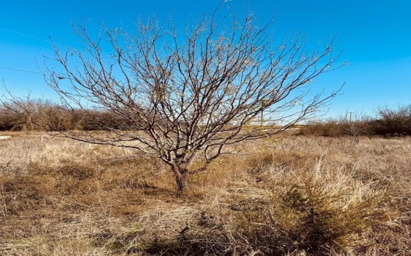 1947 Hidden Valley Road, Glen Rose, TX 76043, ,Land,For Sale,1947 Hidden Valley Road,20823397