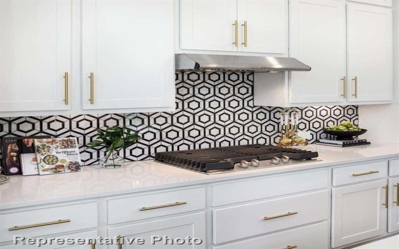 13912 Longvalley Drive, Aledo, TX 76008, 3 Bedrooms Bedrooms, ,2 BathroomsBathrooms,Residential,For Sale,13912 Longvalley Drive,20830237