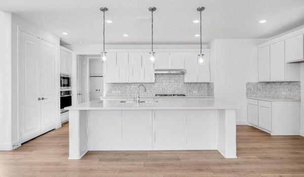 526 Chatham Street, Oak Point, TX 75068, 6 Bedrooms Bedrooms, ,6 BathroomsBathrooms,Residential,For Sale,526 Chatham Street,20832935