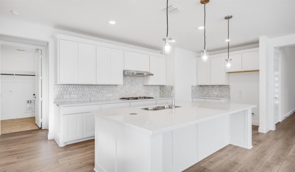 526 Chatham Street, Oak Point, TX 75068, 6 Bedrooms Bedrooms, ,6 BathroomsBathrooms,Residential,For Sale,526 Chatham Street,20832935
