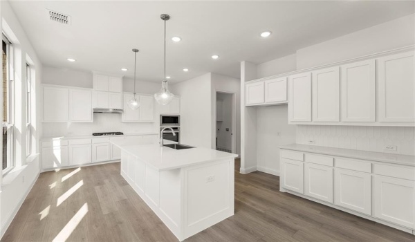 247 Dove Haven Drive, Ponder, TX 76259, 4 Bedrooms Bedrooms, ,3 BathroomsBathrooms,Residential,For Sale,247 Dove Haven Drive,20837989