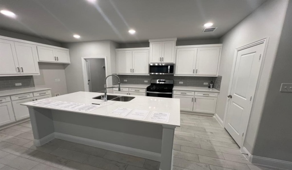 724 Santa Lucia Drive, Anna, TX 75409, 4 Bedrooms Bedrooms, ,2 BathroomsBathrooms,Residential Lease,For Rent,724 Santa Lucia Drive,20843729
