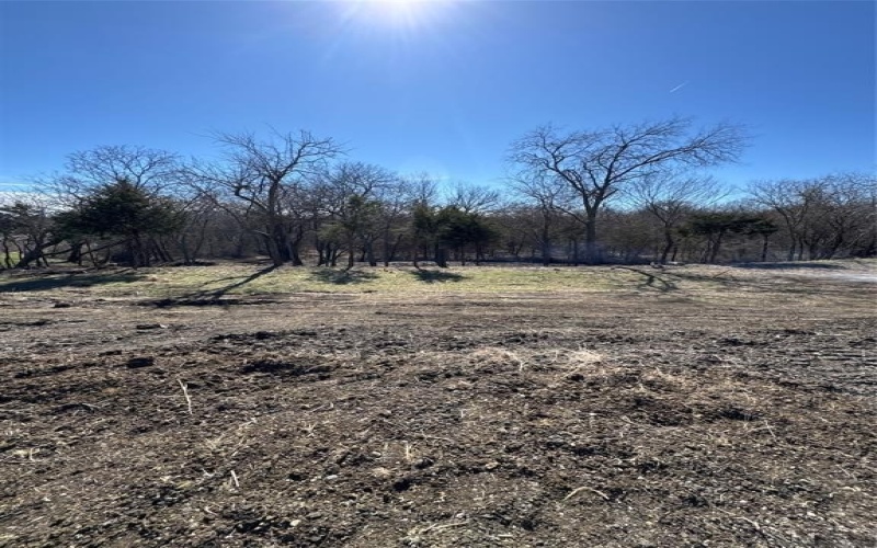 1784 Jilian Drive, Gunter, TX 75058, 4 Habitaciones Habitaciones , ,6 BañosBaños,Residential,En Venta,1784 Jilian Drive,20848911