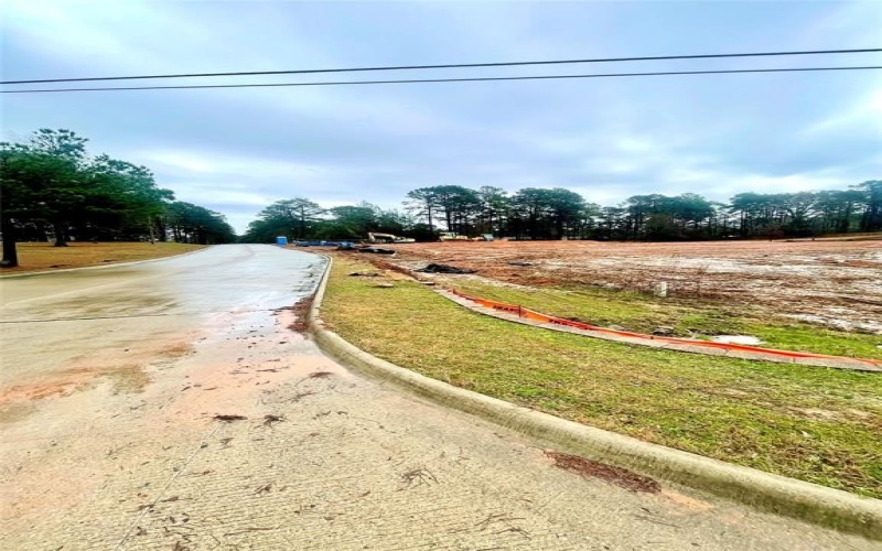 Tbd Lionel Avenue, Texarkana, TX 75503, 2 Bedrooms Bedrooms, ,2 BathroomsBathrooms,Residential Multi Family,For Sale,Tbd Lionel Avenue,20861984