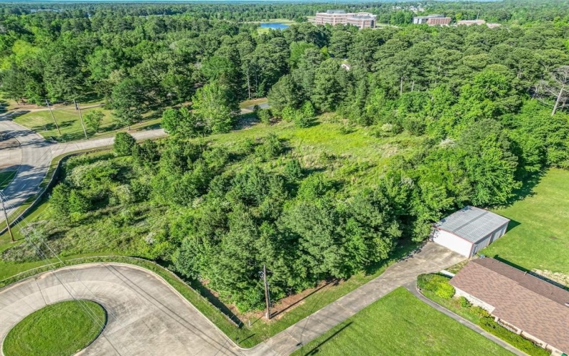 Tbd Lionel Avenue, Texarkana, TX 75503, 2 Bedrooms Bedrooms, ,2 BathroomsBathrooms,Residential Multi Family,For Sale,Tbd Lionel Avenue,20861984