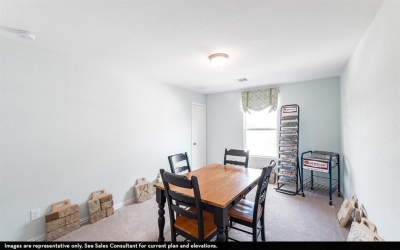 1905 Piedmont Place, Celina, TX 75009, 4 Bedrooms Bedrooms, ,3 BathroomsBathrooms,Residential,For Sale,1905 Piedmont Place,20862366