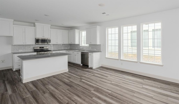 12797 Teton Street, Frisco, TX 75035, 3 Bedrooms Bedrooms, ,3 BathroomsBathrooms,Residential Lease,For Rent,12797 Teton Street,20861807