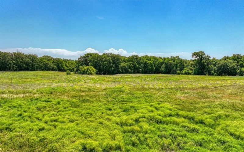 Carr Tbd Leo Lane, Poolville, TX 76487, 3 Bedrooms Bedrooms, ,2 BathroomsBathrooms,Residential,For Sale,Carr Tbd Leo Lane,20865006