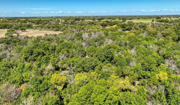 Reb Tbd N FM 51, Weatherford, TX 76085, 4 Bedrooms Bedrooms, ,3 BathroomsBathrooms,Residential,For Sale,Reb Tbd N FM 51,20865033