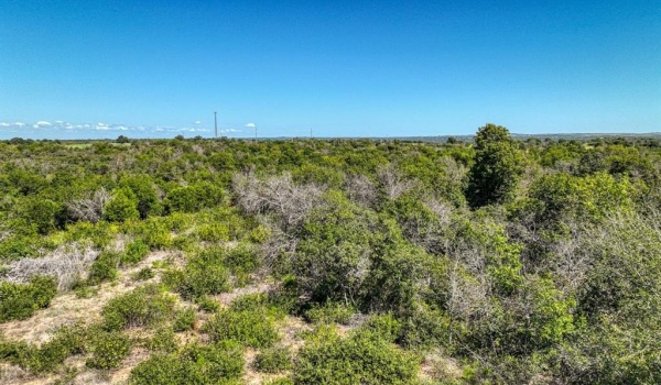 Reb Tbd N FM 51, Weatherford, TX 76085, 4 Bedrooms Bedrooms, ,3 BathroomsBathrooms,Residential,For Sale,Reb Tbd N FM 51,20865033