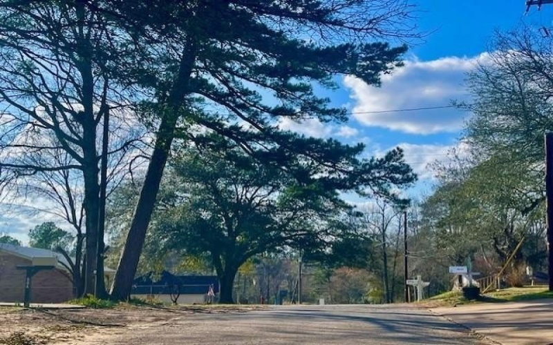 406 Elm St, Overton, TX 75684, 3 Bedrooms Bedrooms, ,2 BathroomsBathrooms,Residential,For Sale,406 Elm St,20869021