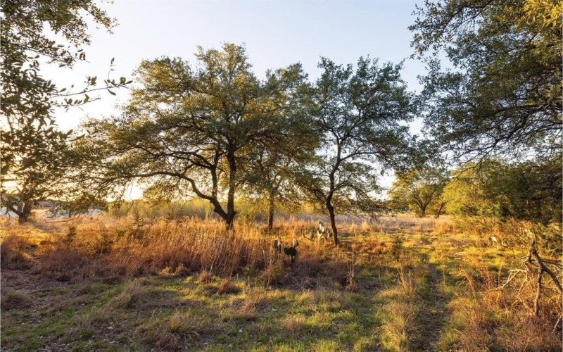 1906 Santa Rosa Avenue, Lago Vista, TX 78645, ,Commercial Sale,For Sale,1906 Santa Rosa Avenue,20870265