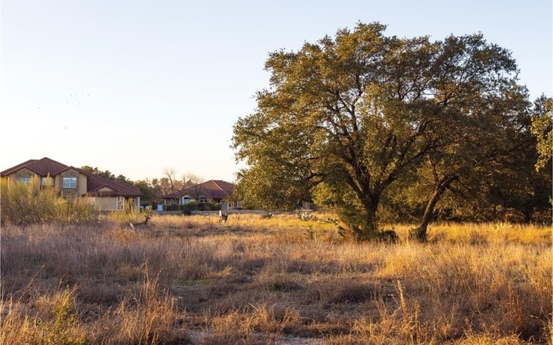 1906 Santa Rosa Avenue, Lago Vista, TX 78645, ,Commercial Sale,For Sale,1906 Santa Rosa Avenue,20870265