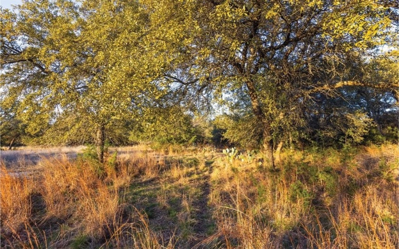 1906 Santa Rosa Avenue, Lago Vista, TX 78645, ,Commercial Sale,For Sale,1906 Santa Rosa Avenue,20870265
