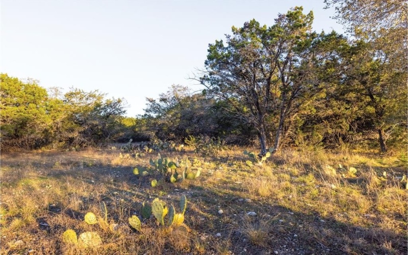 1906 Santa Rosa Avenue, Lago Vista, TX 78645, ,Commercial Sale,For Sale,1906 Santa Rosa Avenue,20870265