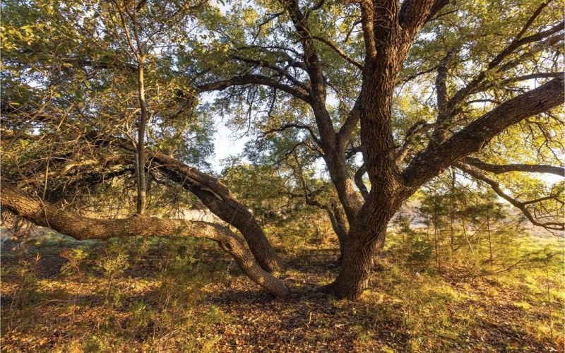 1906 Santa Rosa Avenue, Lago Vista, TX 78645, ,Commercial Sale,For Sale,1906 Santa Rosa Avenue,20870265