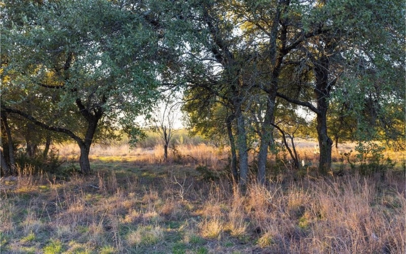 1906 Santa Rosa Avenue, Lago Vista, TX 78645, ,Commercial Sale,For Sale,1906 Santa Rosa Avenue,20870265