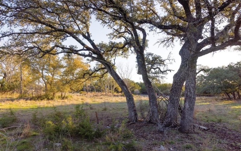 5803 Circulo Drive, Lago Vista, TX 78645, ,Commercial Sale,For Sale,5803 Circulo Drive,20870320