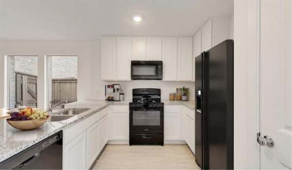 205 Adelina Drive, Little Elm, TX 75068, 4 Bedrooms Bedrooms, ,2 BathroomsBathrooms,Residential Lease,For Rent,205 Adelina Drive,20870446