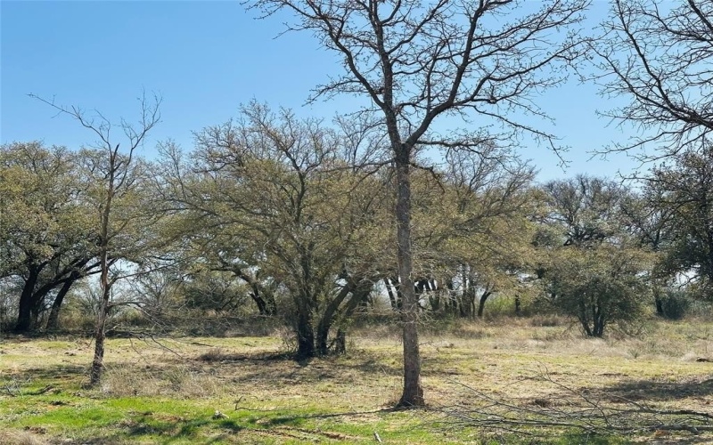 1012 Old Oaks Court, Weatherford, TX 76087, 4 Bedrooms Bedrooms, ,3 BathroomsBathrooms,Residential,For Sale,1012 Old Oaks Court,20871925