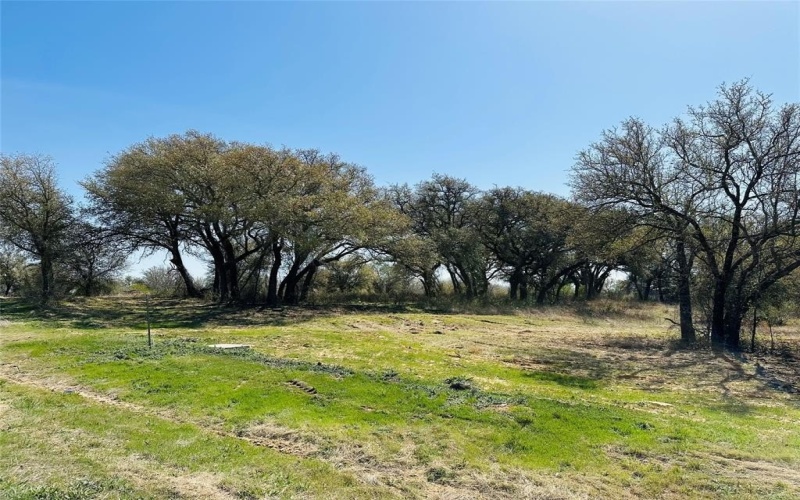 1012 Old Oaks Court, Weatherford, TX 76087, 4 Bedrooms Bedrooms, ,3 BathroomsBathrooms,Residential,For Sale,1012 Old Oaks Court,20871925