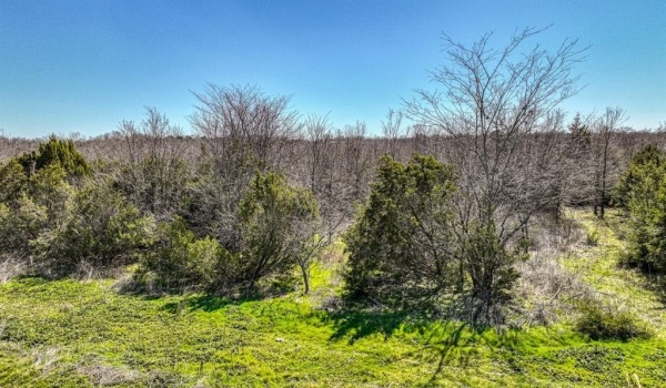 Bed Tbd Preserve Street, Weatherford, TX 76085, 3 Habitaciones Habitaciones , ,2 BañosBaños,Residential,En Venta,Bed Tbd Preserve Street,20870553