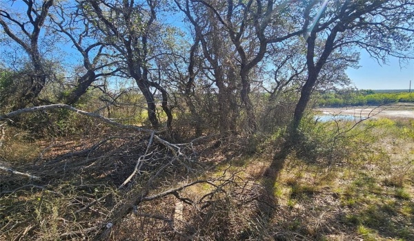 7513 Feather Bay Drive, Brownwood, TX 76801, 3 Bedrooms Bedrooms, ,2 BathroomsBathrooms,Residential,For Sale,7513 Feather Bay Drive,20874475