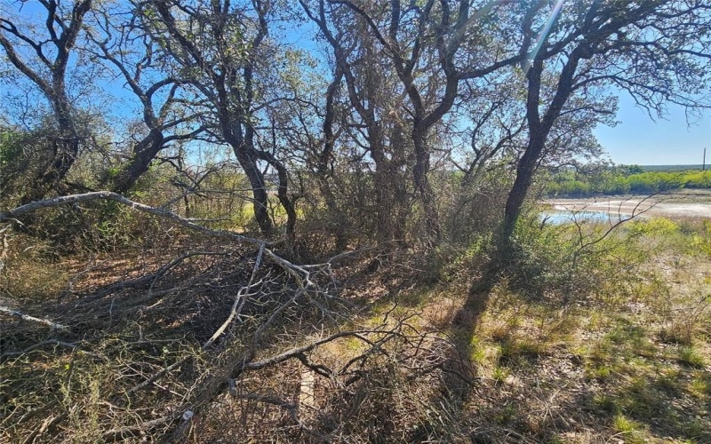 7513 Feather Bay Drive, Brownwood, TX 76801, 3 Bedrooms Bedrooms, ,2 BathroomsBathrooms,Residential,For Sale,7513 Feather Bay Drive,20874475