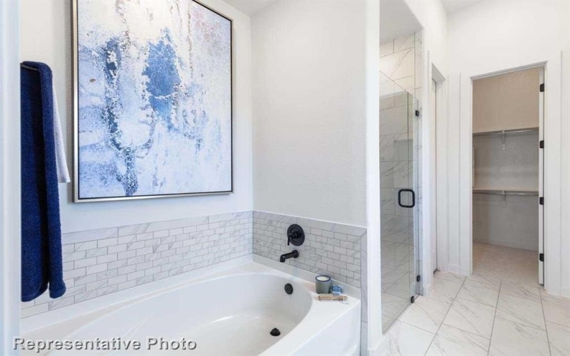 1209 Ripple Glass Road, Midlothian, TX 76065, 4 Habitaciones Habitaciones , ,3 BañosBaños,Residential,En Venta,1209 Ripple Glass Road,20872307